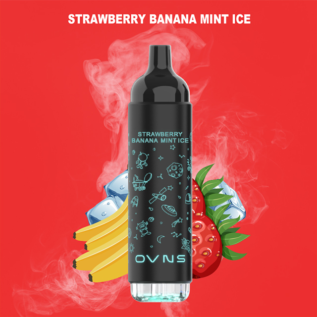 disposable tasty wholesale vapes 2500 puffs